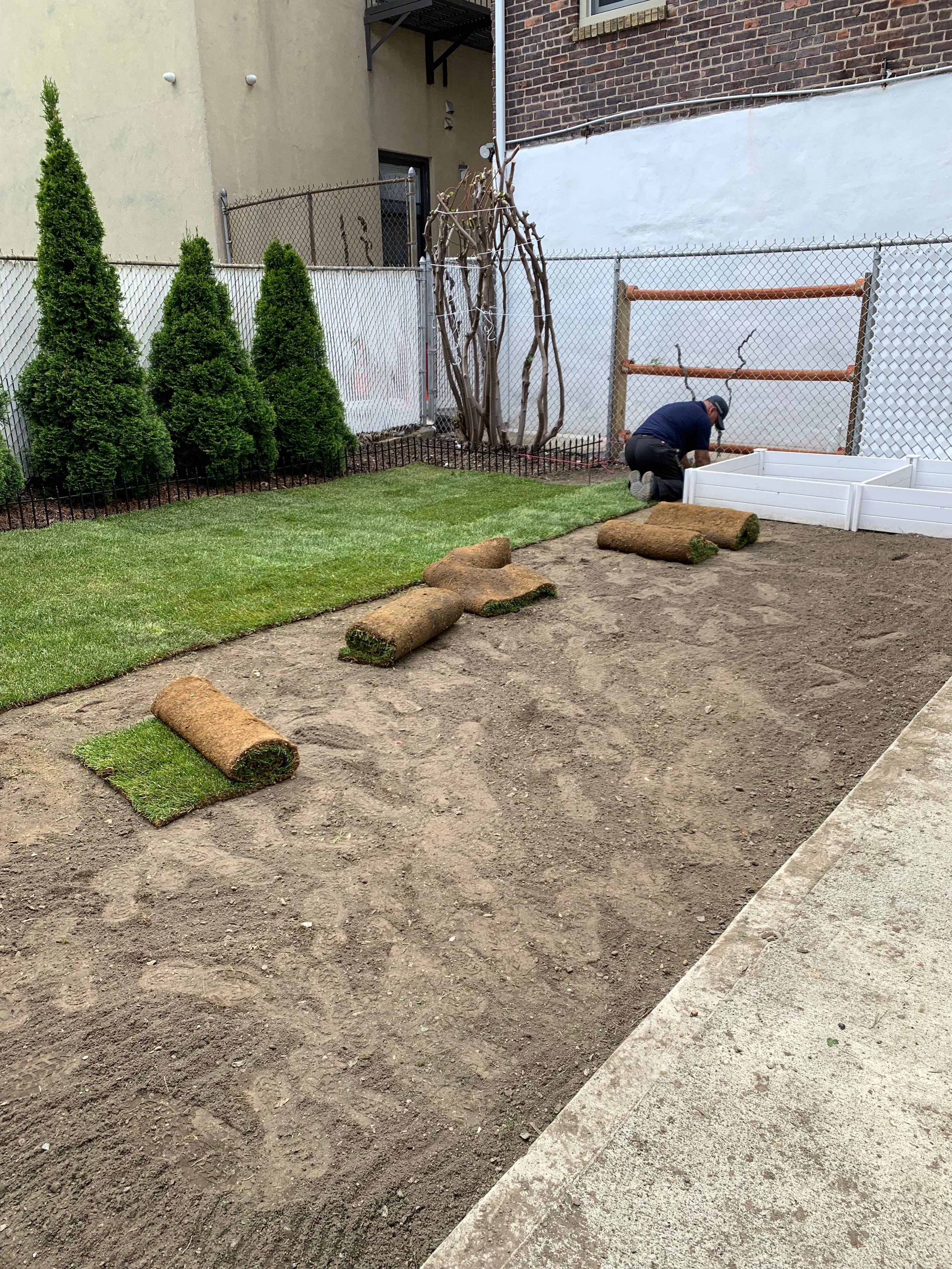 Completed sod lawn alongside hardscaping — Northern NJ